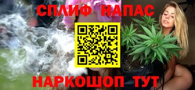 СК Канаш
