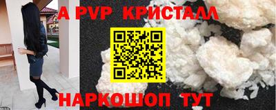СК Канаш