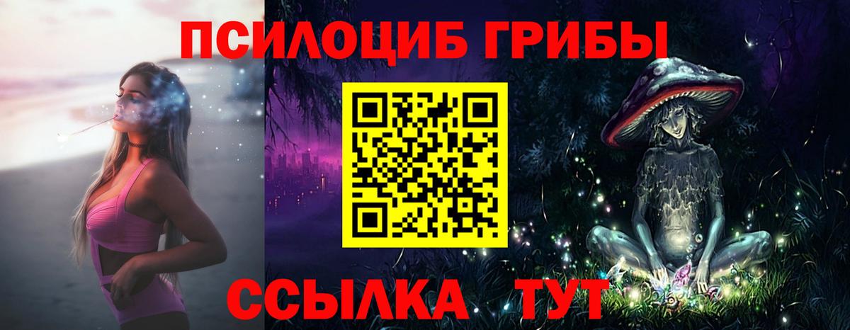 Крымск  Галлюциногенные грибы Psilocybine cubensis  Вход с VPN  Псилоцибиновые грибы GOLDEN TEACHER 
